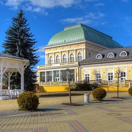 Penzion U Modreho Slona Frantiskovy Lazne Exterior photo