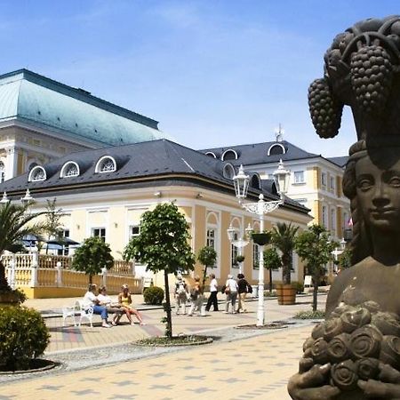 Penzion U Modreho Slona Frantiskovy Lazne Exterior photo